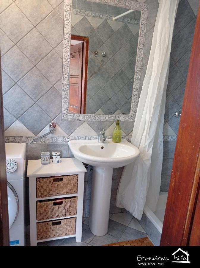 Apartment Ernestova Hisa Lokve Esterno foto
