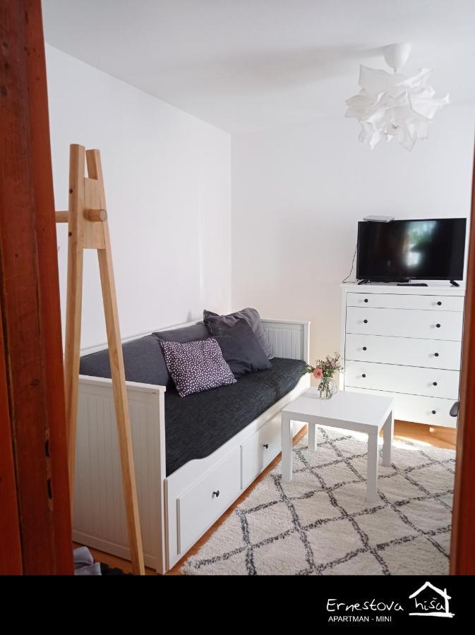 Apartment Ernestova Hisa Lokve Esterno foto
